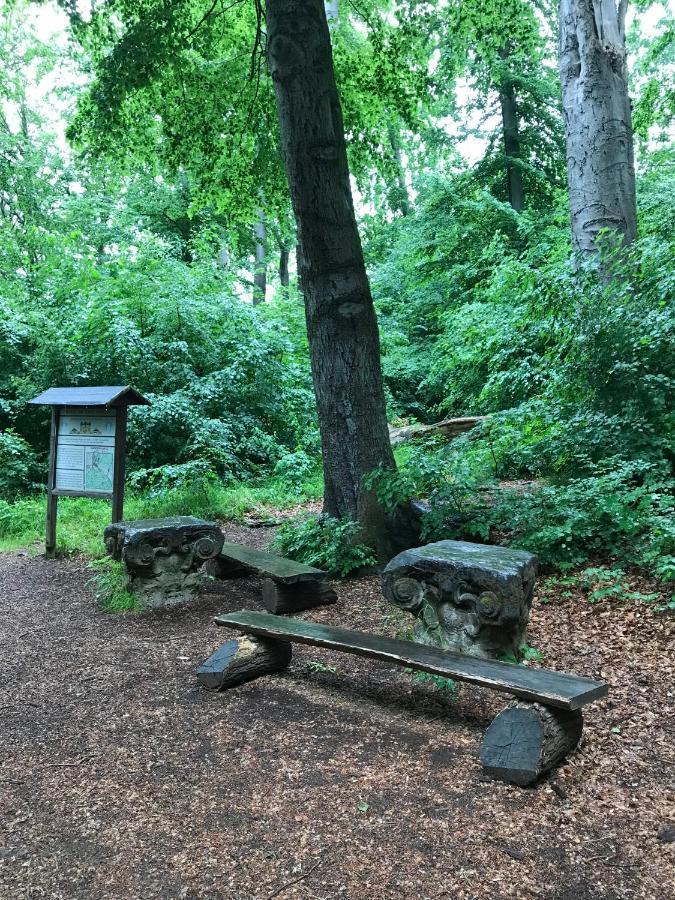 Ferienwohnung Morgensonne Am Kurpark Bad Berka - Parkplatz - Spielplatz - Wlan - 2 Schlafzimmer Eksteriør bilde